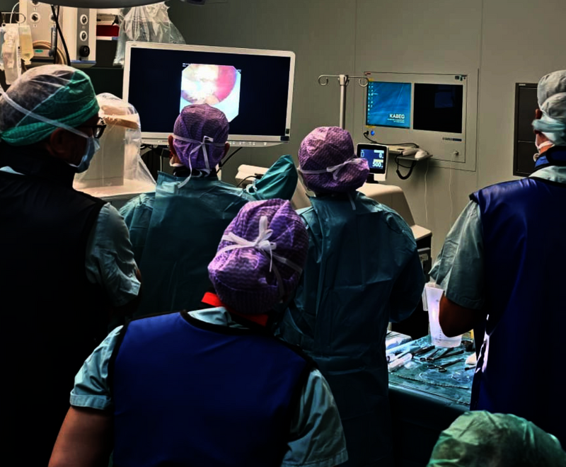 Alpe-Adria-Meeting: Live-OPs demonstrieren minimalinvasive Verfahren in der Steinchirurgie