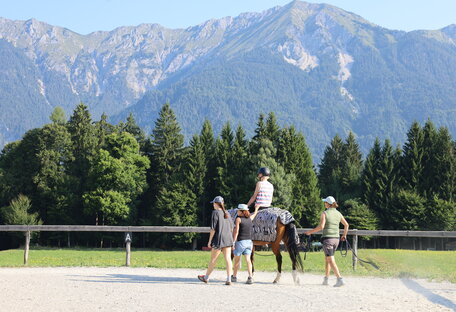 Hippotherapie